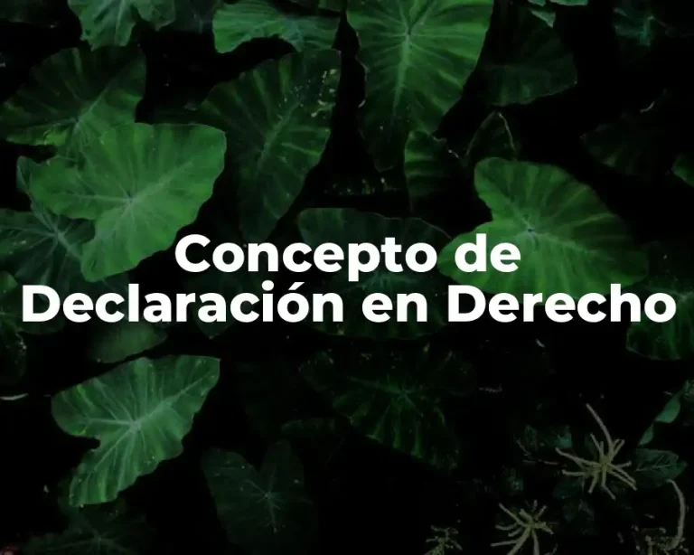 Concepto de Declaración en Derecho