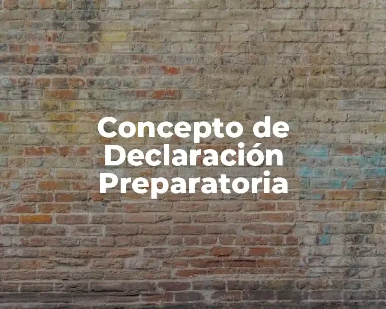Concepto de Declaración Preparatoria