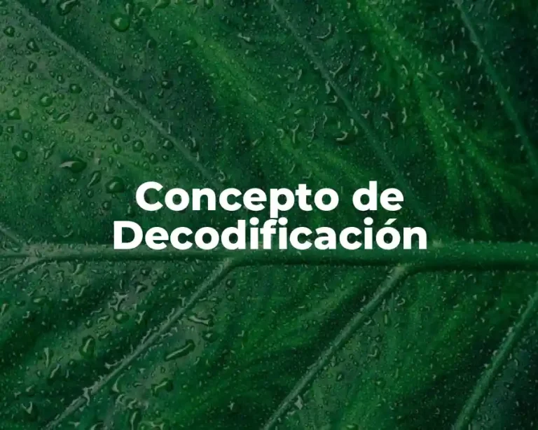 Concepto de Decodificación