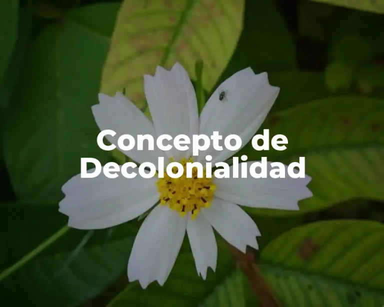 Concepto de Decolonialidad