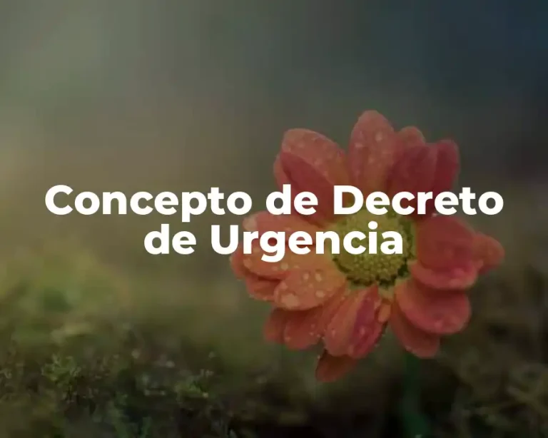 Concepto de Decreto de Urgencia