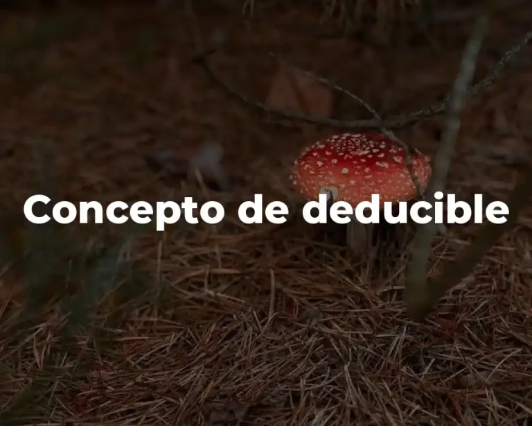 Concepto de deducible