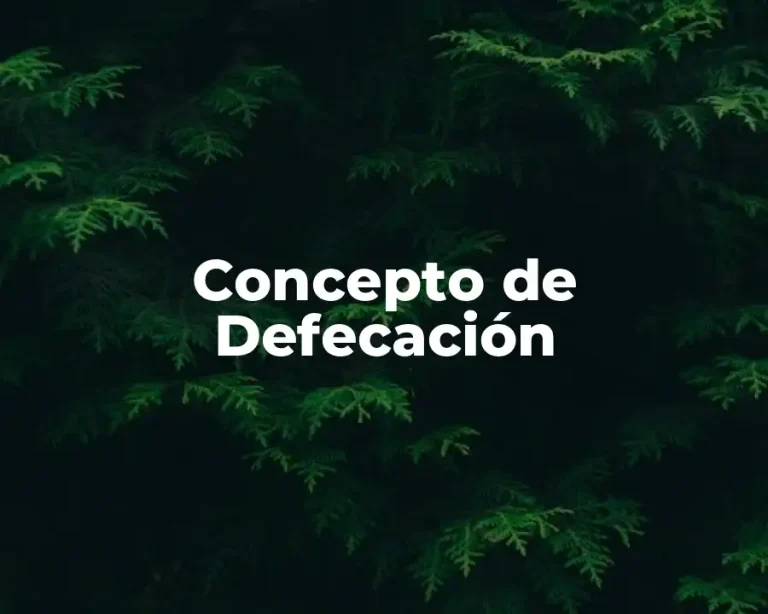 Concepto de Defecación