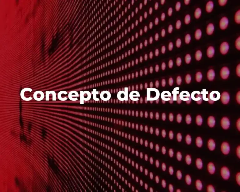 Concepto de Defecto