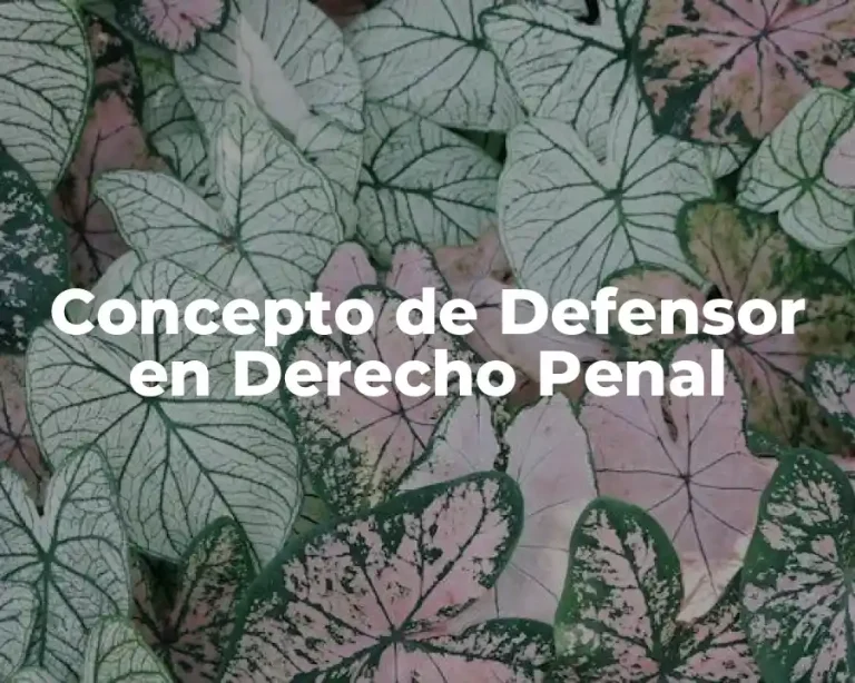Concepto de Defensor en Derecho Penal