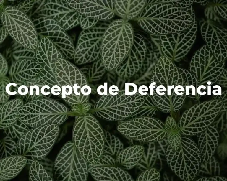 Concepto de Deferencia