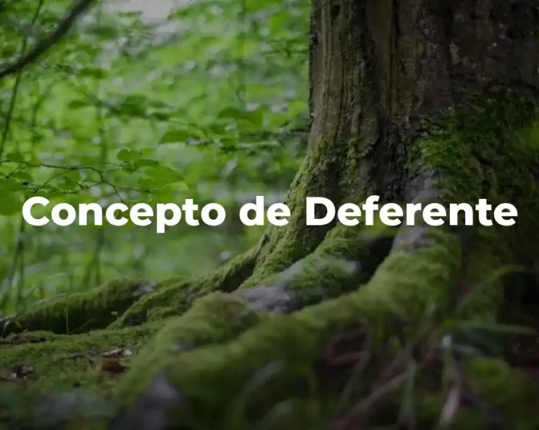 Concepto de Deferente