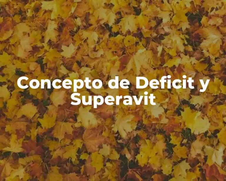 Concepto de Deficit y Superavit