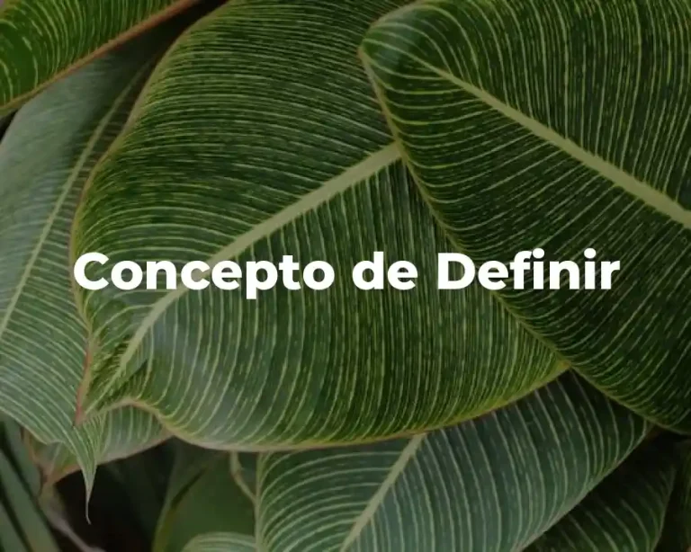 Concepto de Definir