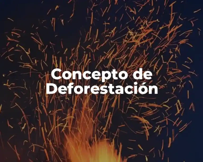Concepto de Deforestación