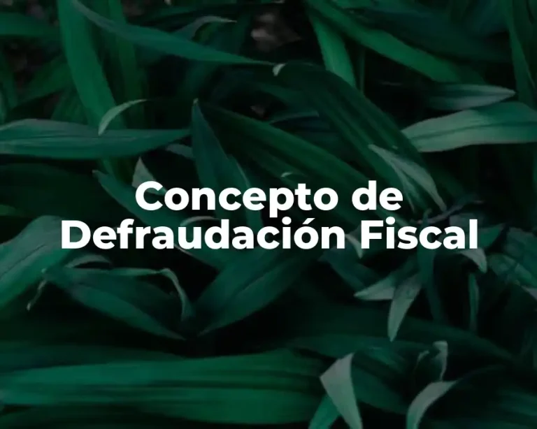 Concepto de Defraudación Fiscal