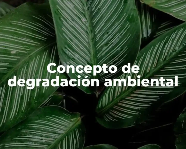 Concepto de degradación ambiental