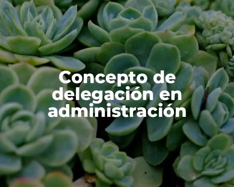 Concepto de delegación en administración