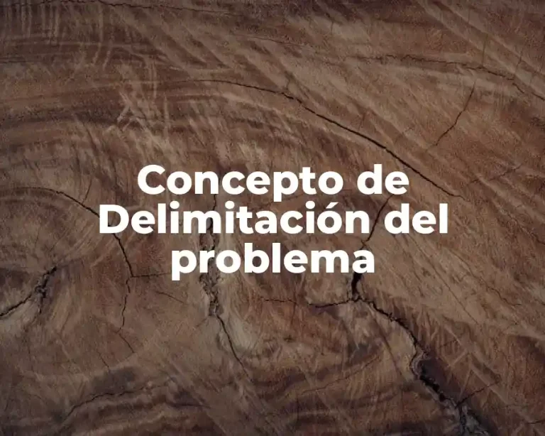Concepto de Delimitación del problema