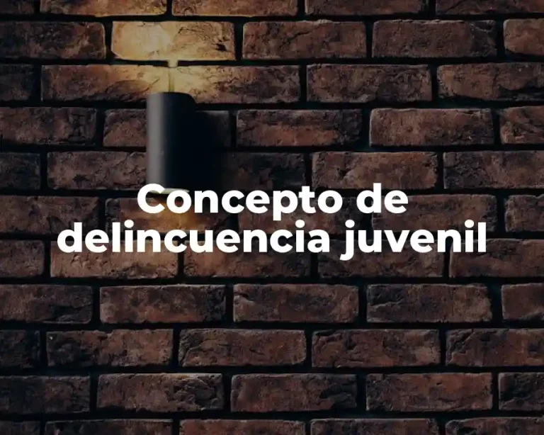 Concepto de delincuencia juvenil