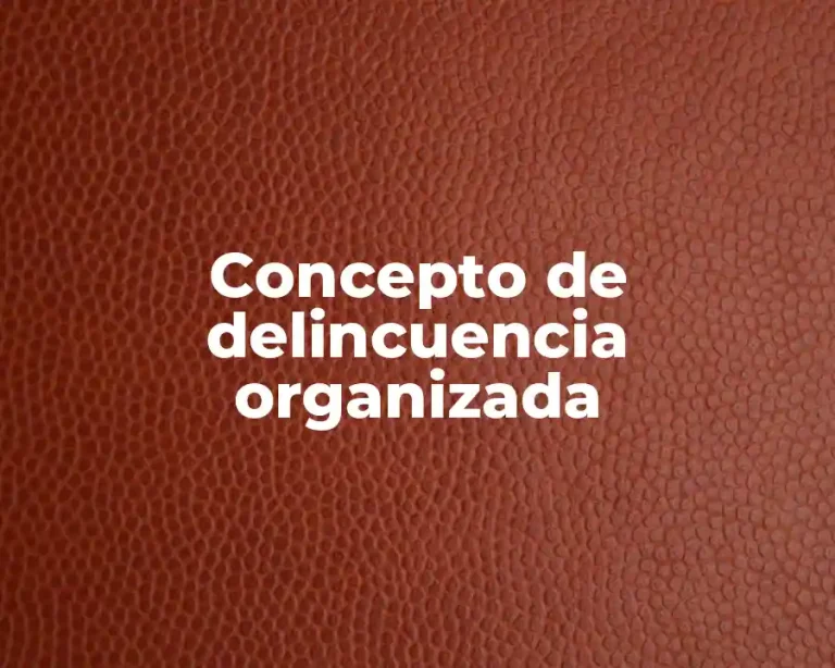 Concepto de delincuencia organizada