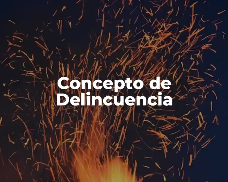 Concepto de Delincuencia