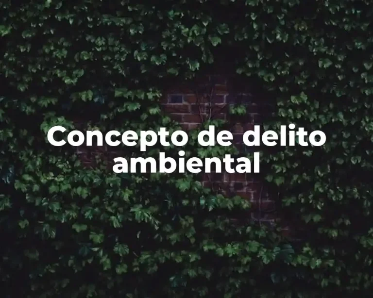 Concepto de delito ambiental