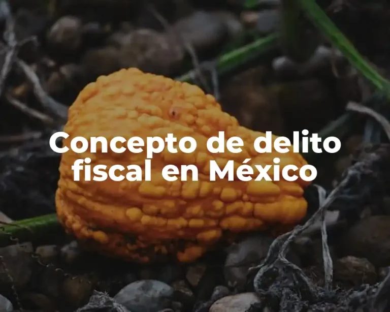 Concepto de delito fiscal en México