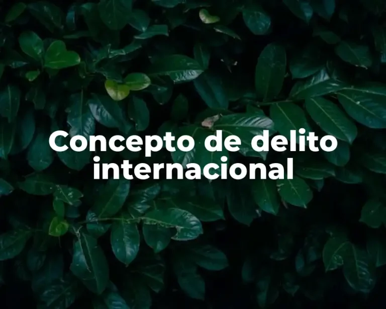 Concepto de delito internacional