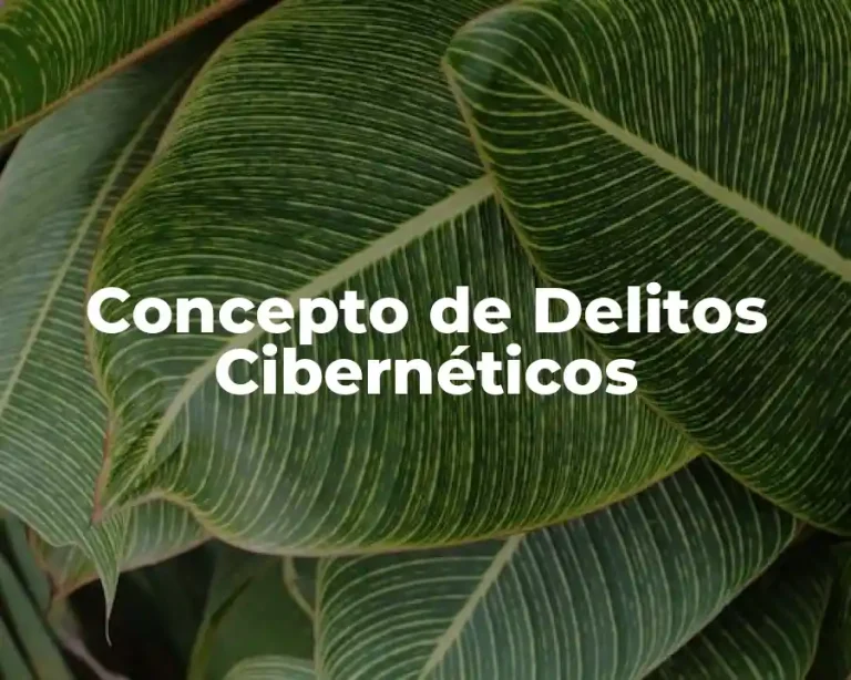 Concepto de Delitos Cibernéticos