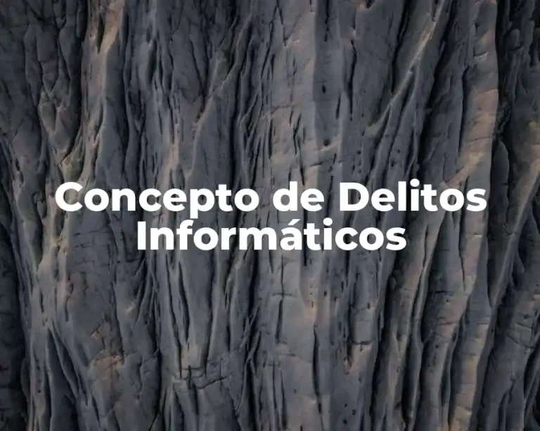 Concepto de Delitos Informáticos
