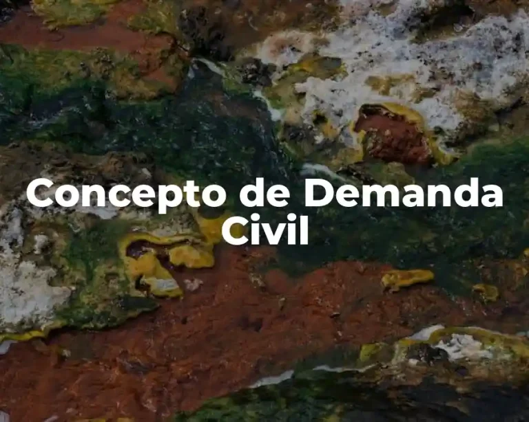 Concepto de Demanda Civil