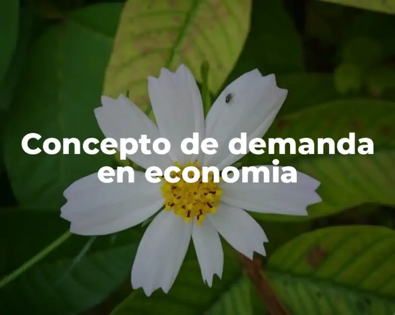 Concepto de demanda en economia