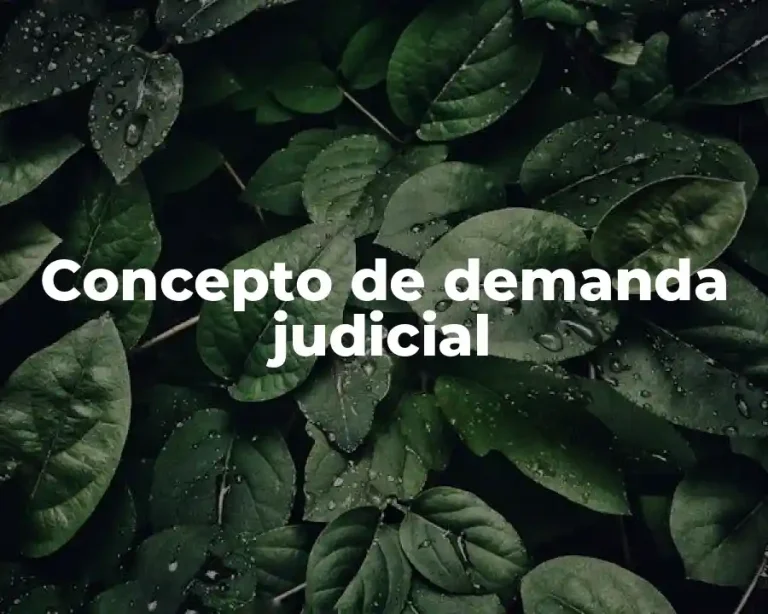 Concepto de demanda judicial