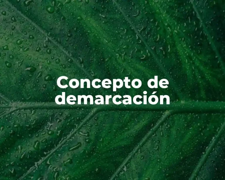 Concepto de demarcación