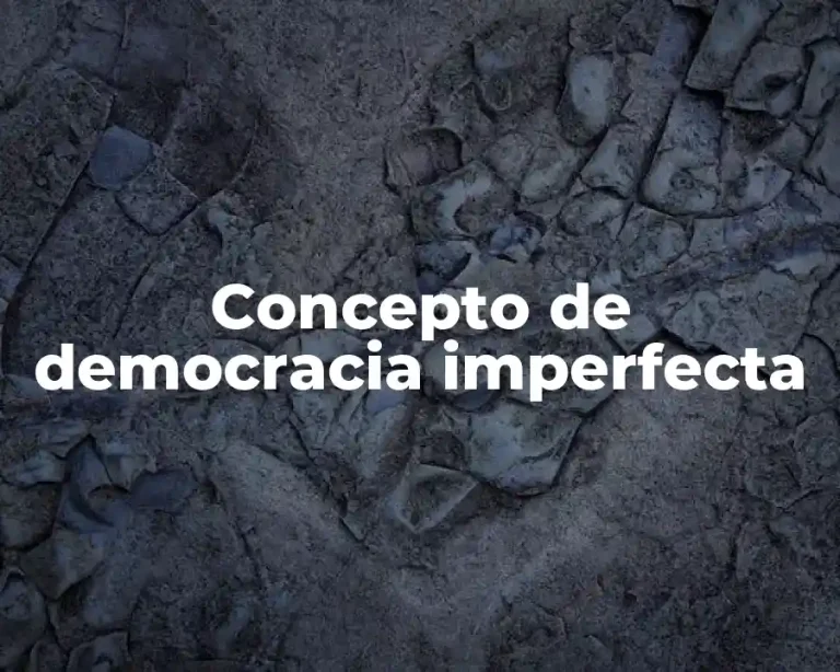 Concepto de democracia imperfecta