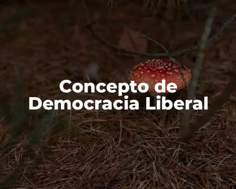 Concepto de Democracia Liberal