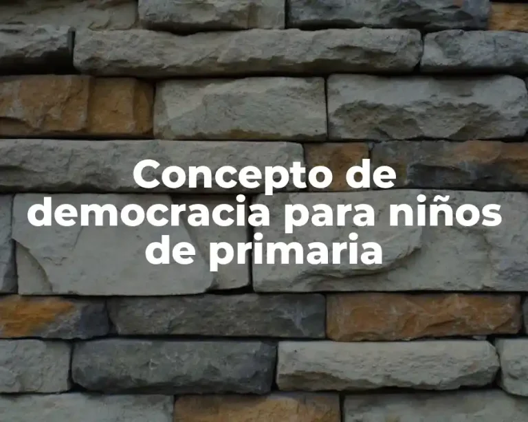 Concepto de democracia para niños de primaria