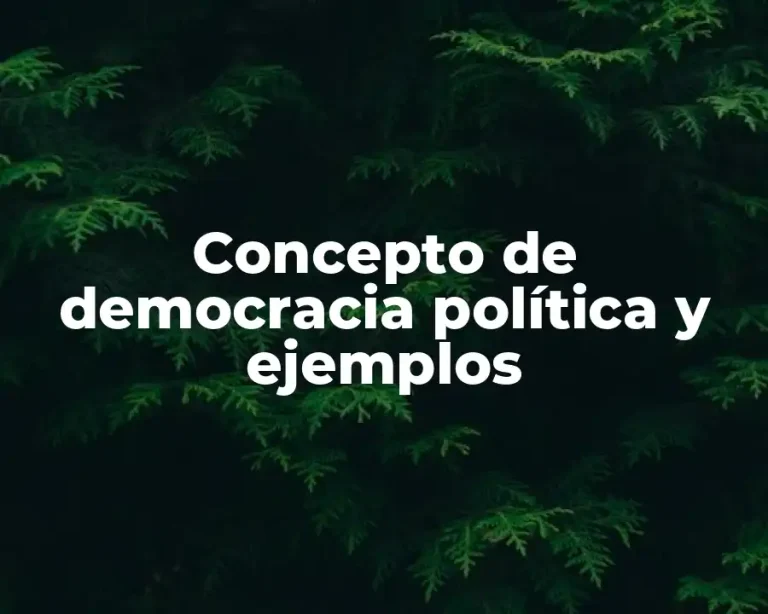 Concepto de democracia política y ejemplos