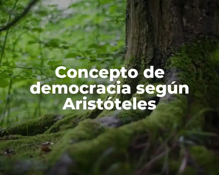 Concepto de democracia según Aristóteles