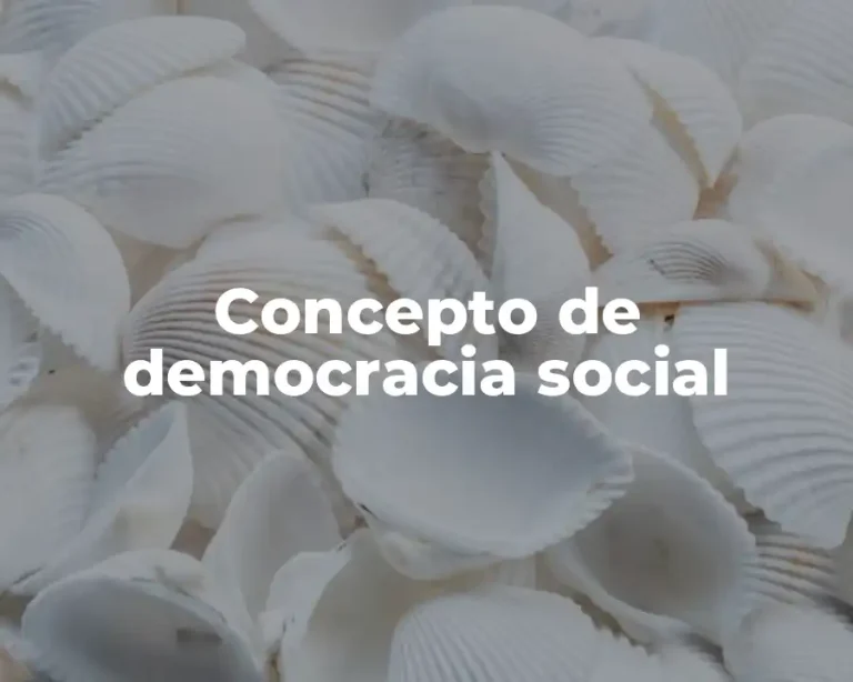 Concepto de democracia social