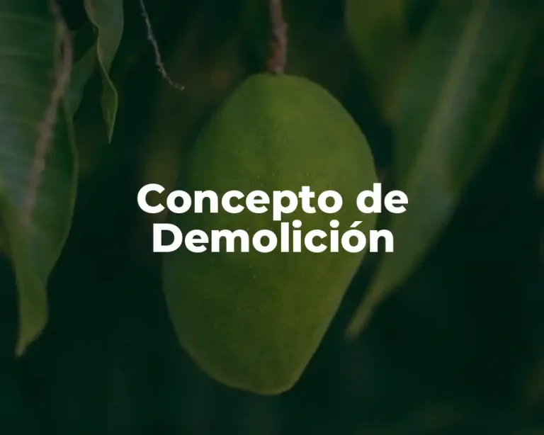Concepto de Demolición