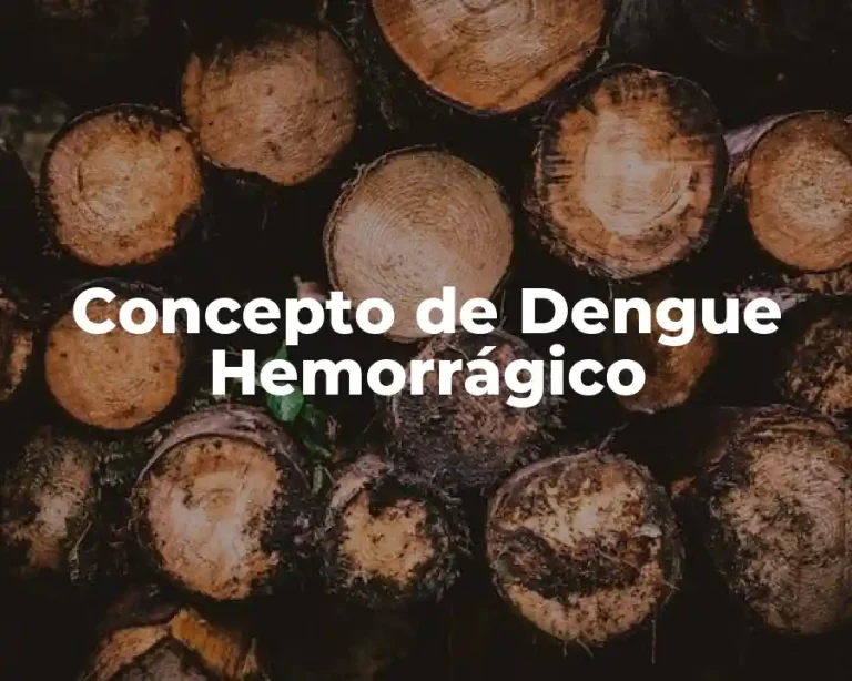 Concepto de Dengue Hemorrágico