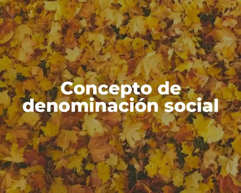 Concepto de denominación social