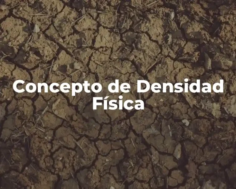 Concepto de Densidad Física