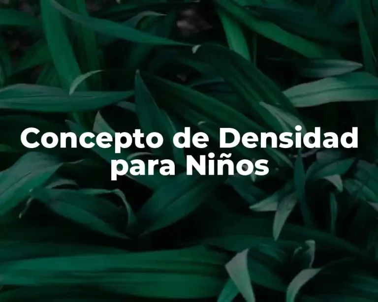 Concepto de Densidad para Niños