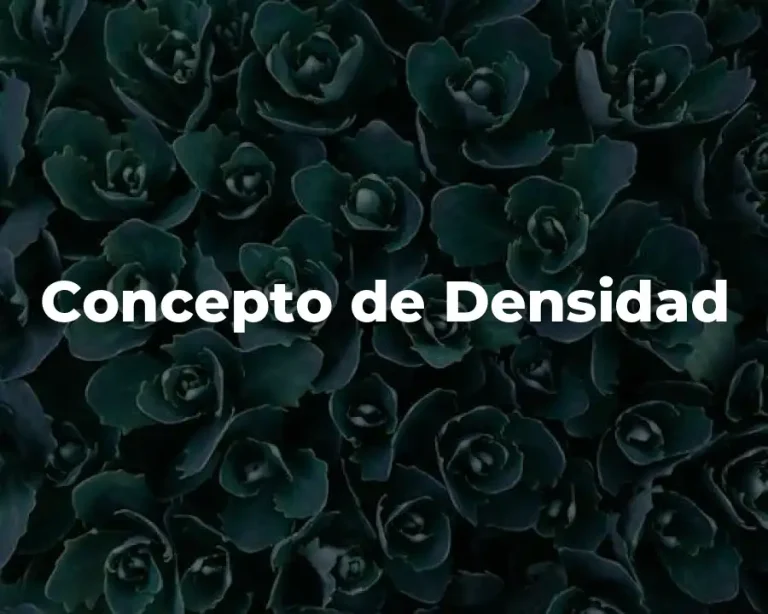 Concepto de Densidad