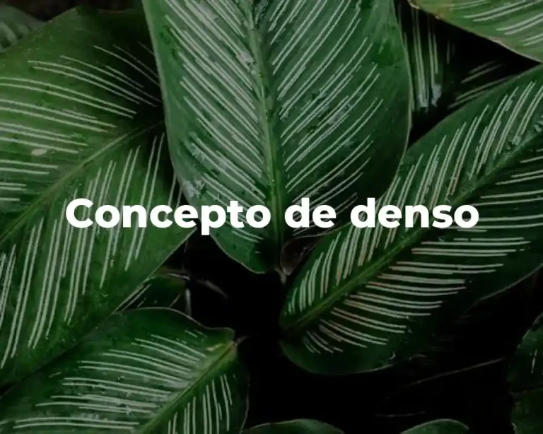 Concepto de denso