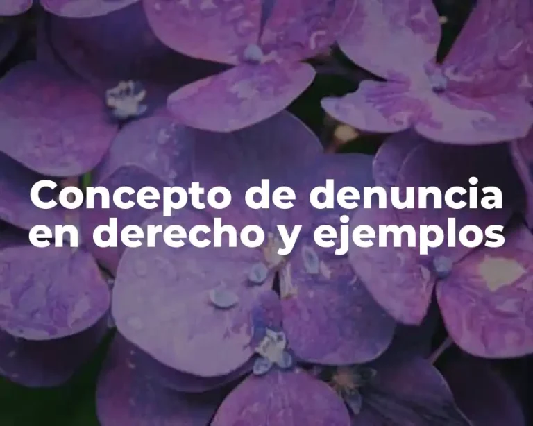 Concepto de denuncia en derecho y ejemplos