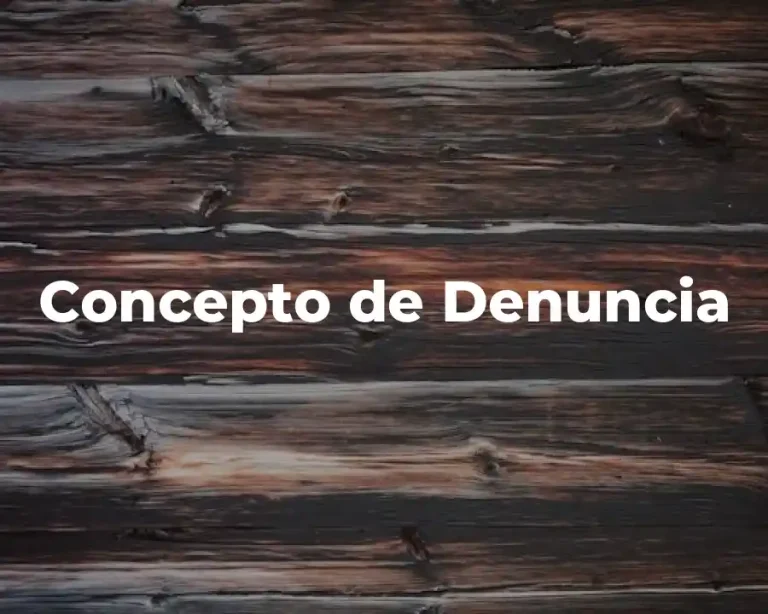 Concepto de Denuncia