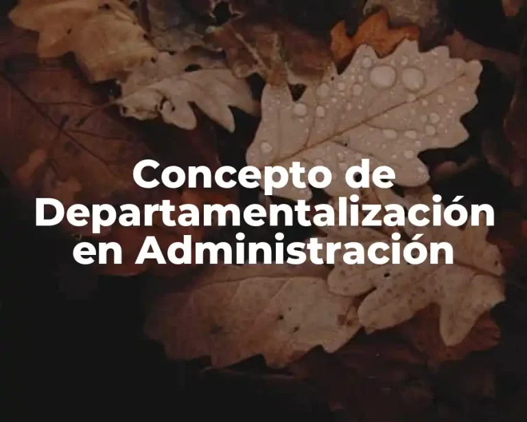 Concepto de Departamentalización en Administración