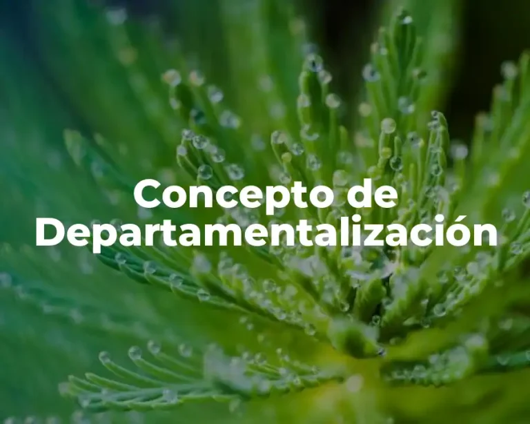 Concepto de Departamentalización