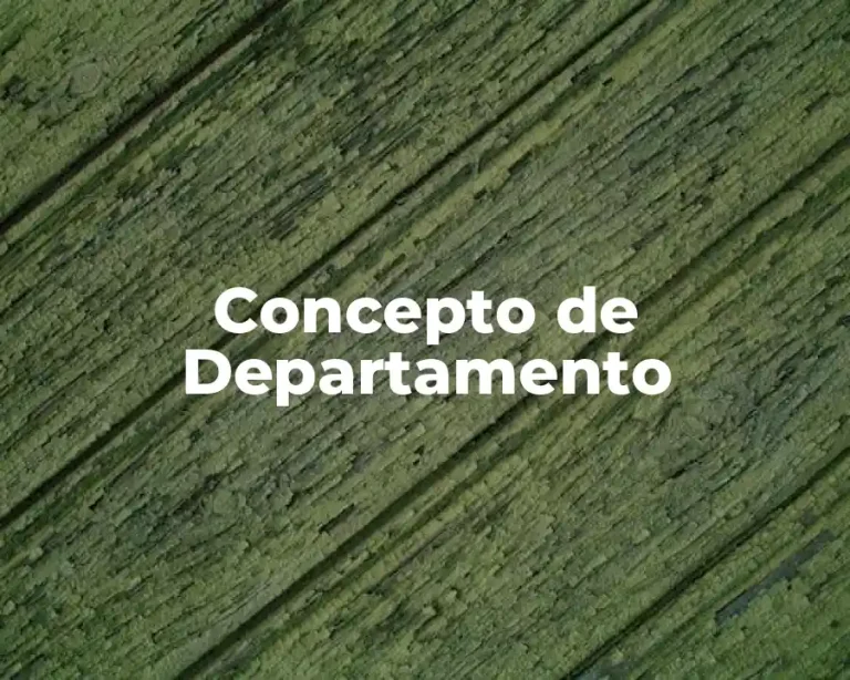 Concepto de Departamento