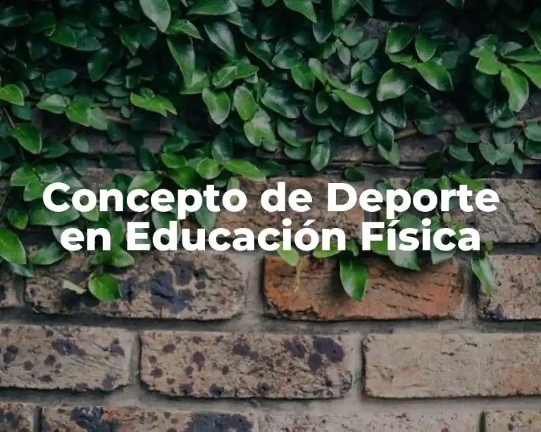 Concepto de Deporte en Educación Física