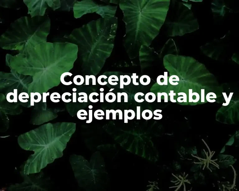 Concepto de depreciación contable y ejemplos